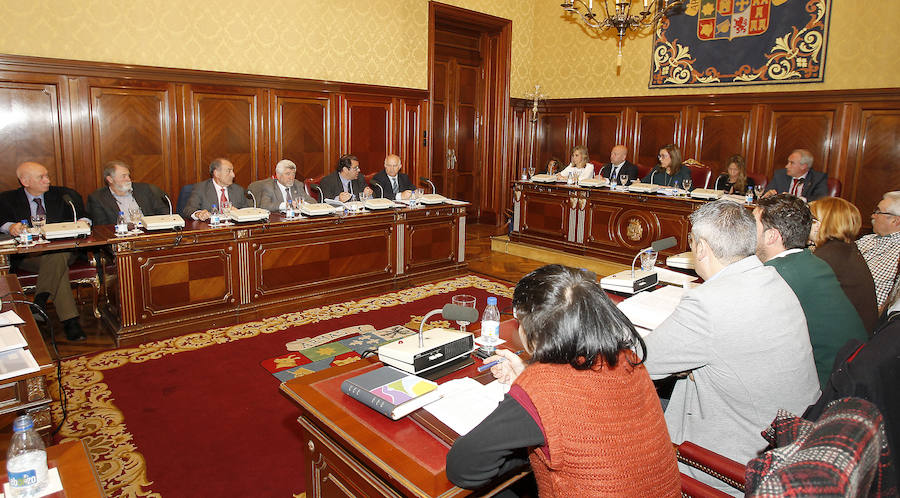 La Diputación se muestra unánime en el apoyo al sector lácteo