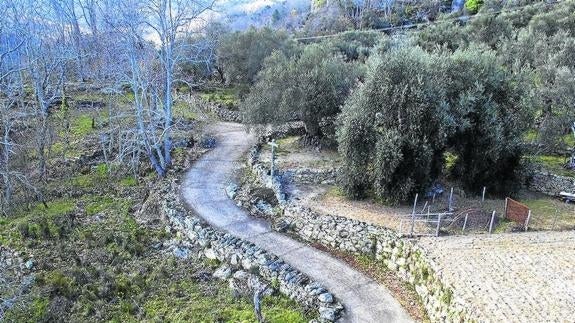 Los senderos de arte de la Sierra de Francia conquistan a los caminantes