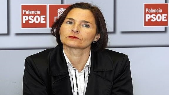 PSOE Palencia pregunta al Ministerio de Cultura sobre la financiación de la Fundación Díaz Caneja