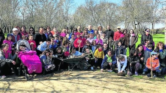 Los olmos vuelven, sanos, a San Cristóbal de Segovia