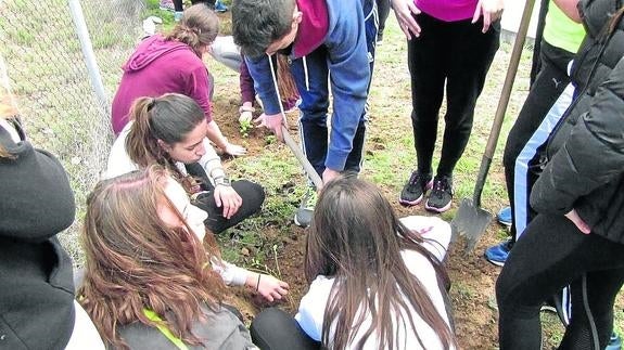 Alumnos del Vega del Pirón plantan árboles en el recinto del instituto