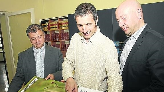 En defensa de la mariposa hormiguera oscura