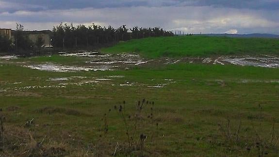 El arroyo Malucas también sufre la contaminación