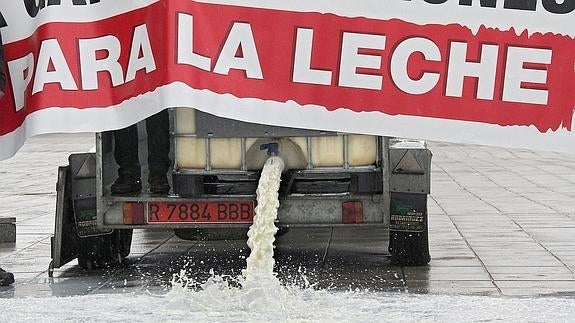 Doce ganaderos abandonan la producción de leche por no encontrar comprador