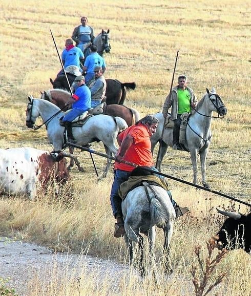 Los encierros conservan las batutas