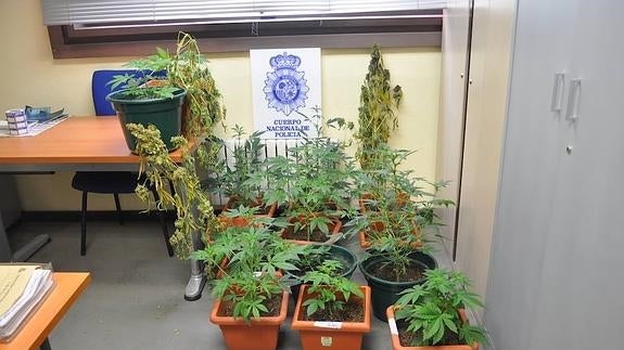 Dos detenidos en Palencia por diferentes delitos relacionados con las drogas