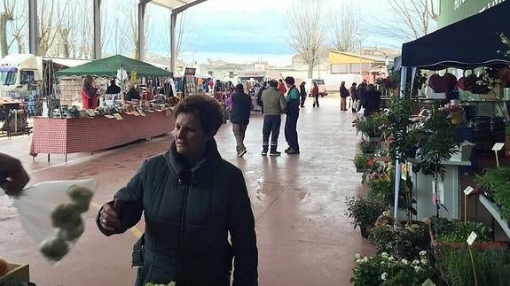 El Mercado 'Corazón de Castilla' suma y sigue