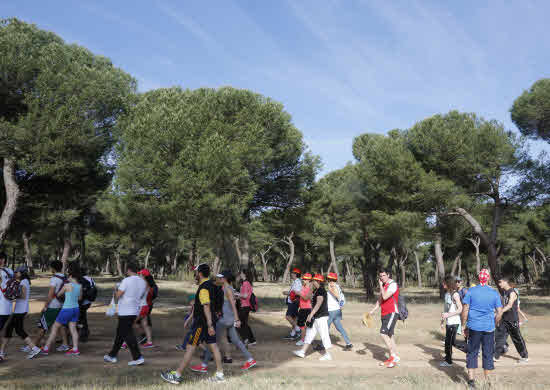 El buen tiempo y la ausencia de lluvias acompañarán a la Marcha Asprona