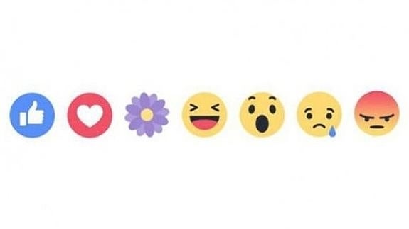 La efímera flor morada de Facebook
