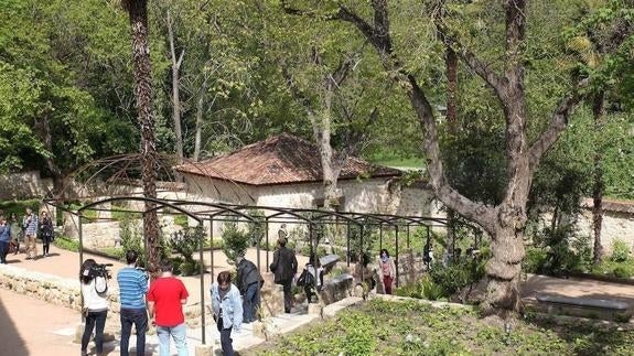 El Jardín del Rey tendrá filtros para controlar el acceso