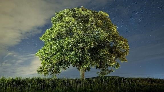 Entrega de los Premios del concurso 'La ciencia y tú: Heredarás la Tierra'