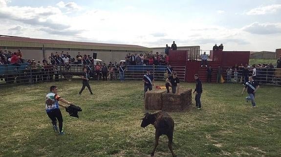 Villalba de los Alcores vive la emoción de las vaquillas después de 40 años