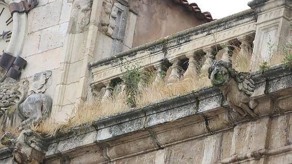 La 'mala hierba' se come el viejo consistorio de la Plaza Mayor