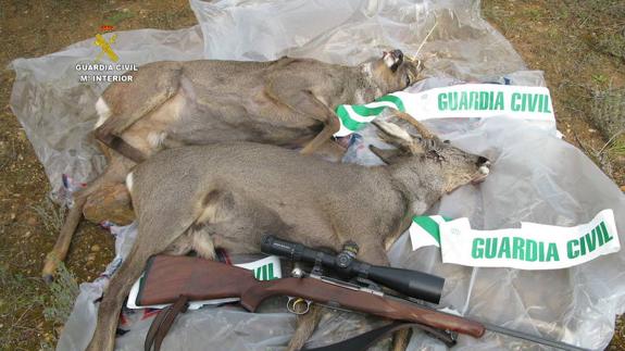 Desarticulada en Granada una red que vendía falsos permisos de caza en Castilla y León