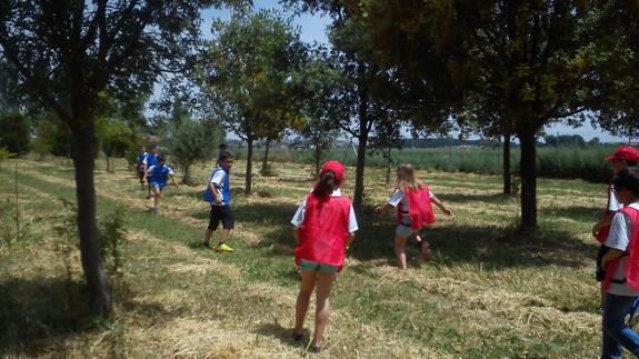 Escolares del CRA Guareña visitan la finca y el vivero forestal de la Diputación