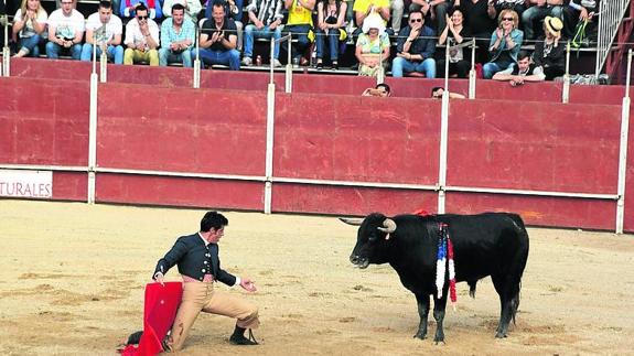 Guardo se rinde a las tradiciones por San Antonio