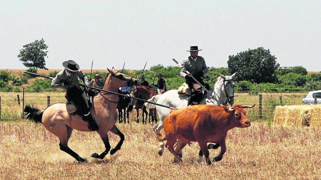 Juan Luis Montero y Manuel Montero, campeones regionales de acoso y derribo