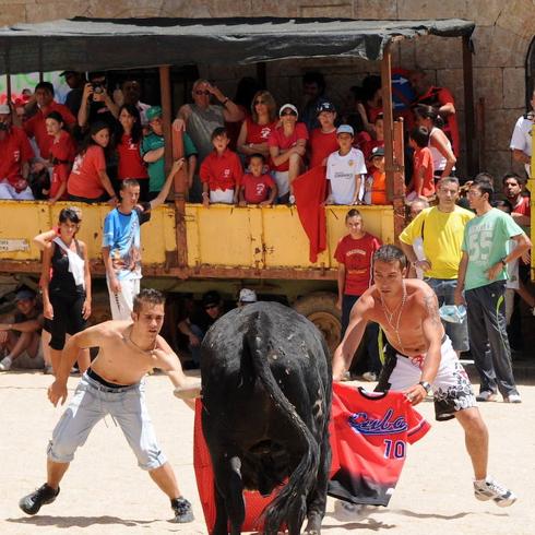 Corneado un segoviano en los encierros zamoranos de Fuentesaúco
