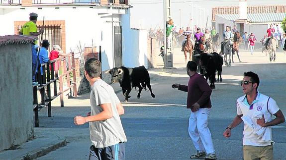 Repunta en la provincia la organización de espectáculos y festejos taurinos