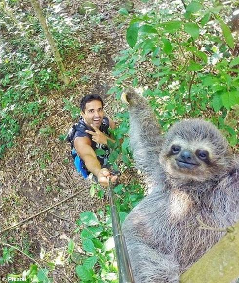 La sonrisa de un perezoso a golpe de selfie