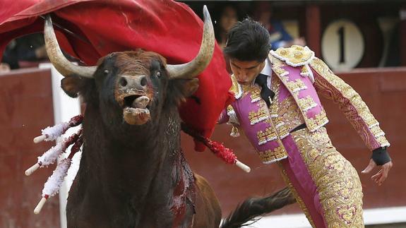 Valladolid prepara una gran corrida de toros en homenaje a Víctor Barrio