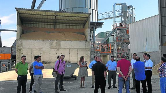 La falta de ayudas lastra el sector del pellet