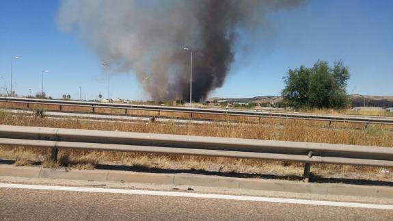 Un incendio en un rastrojo causa la alarma en Valladolid