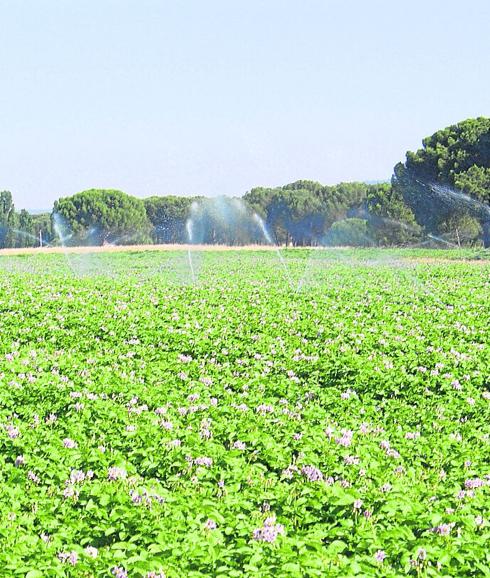 El Carracillo reclama adecuar el caudal ecológico del Cega para «llevar vida» a los nueve pueblos