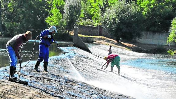 Ciudad Rodrigo desbroza hasta en cuatro ocasiones la zona del río Águeda