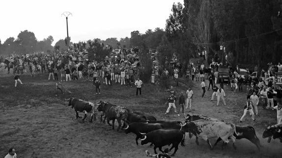 Turismo de Cuéllar convoca la trigésima edición del concurso fotográfico de las fiestas