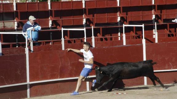 Deslucida capea sabatina en Campaspero