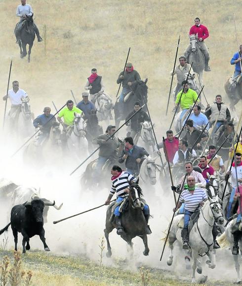 Malestar entre los caballistas por la limitación impuesta en los encierros