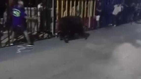 Un menor de 15 años resulta herido en los 'bous al carrer' de Calpe, Alicante