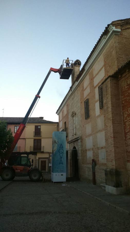 La Fundación Las Edades retira un nido de cigüeña de la sede de ‘Aqva’