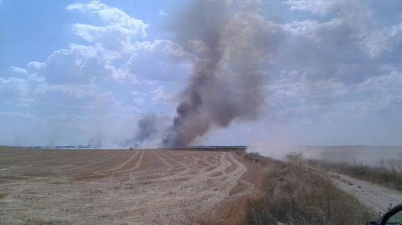 Los bomberos efectúan labores de extinción de un incendio entre La Mudarra y Montealegre