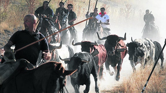 A los caballistas del encierro de Cuéllar