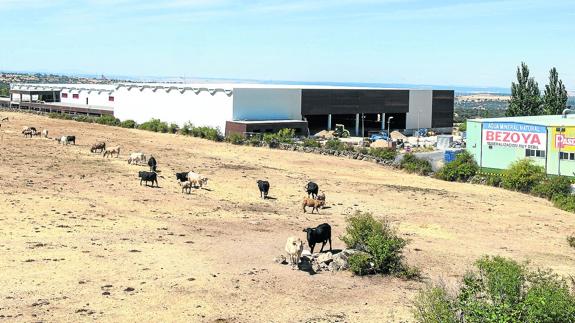 La nueva planta de Bezoya en Ortigosa estará a pleno funcionamiento en 2018