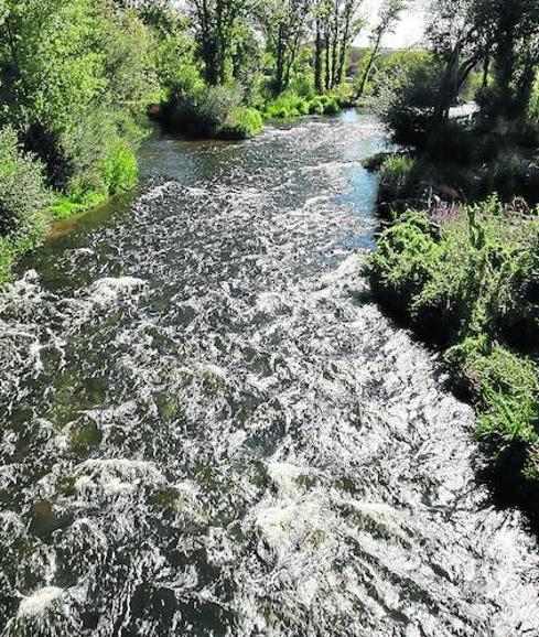 Tejares acude al Seprona para denunciar el abandono de la pesquera