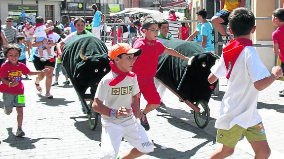 Toros todo el día