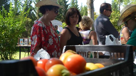 Los huertos ecológicos municipales dan sus frutos