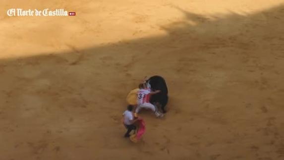 Susto en la Plaza de Toros de Valladolid durante el Concurso de Cortes