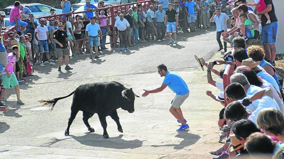 La bravura de Valrubio convence a la afición de Pereña de la Ribera