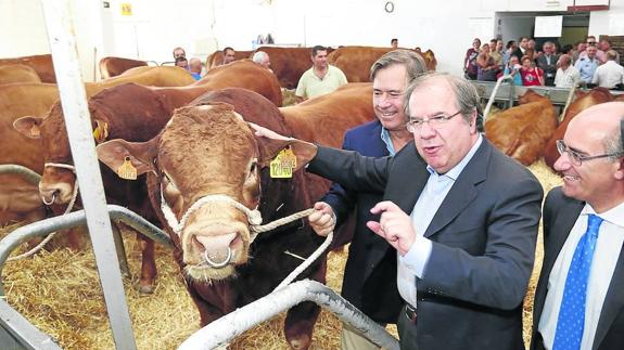 Herrera pone el acento en el dinamismo de un sector «incapaz de rendirse»