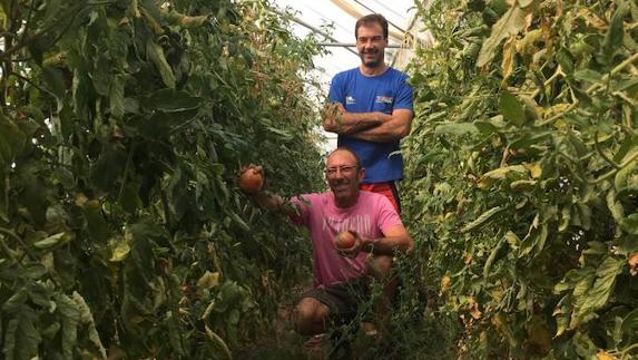 Horticultura ecológica, un negocio al alza