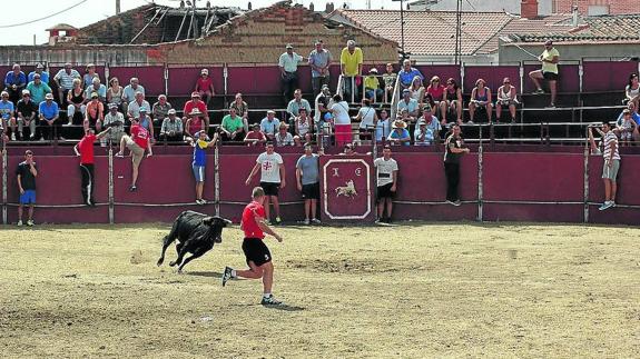 Los festejos populares taurinos animan las fiestas de Cantalapiedra