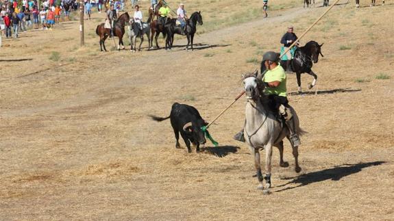 Tres astados completan el recorrido en un multitudinario encierro de Portillo