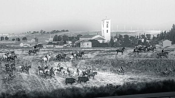 Las mejores imágenes de la fiesta