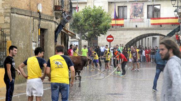 El toro enmaromado se hace con las calles de Astudillo