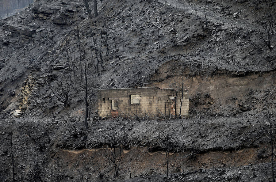 La lluvia frena el avance del incendio del Bierzo tras calcinar 3.000 hectáreas