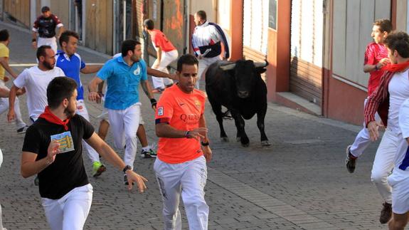 La organización considera «necesario» aplicar el protocolo para los encierros de Cuéllar